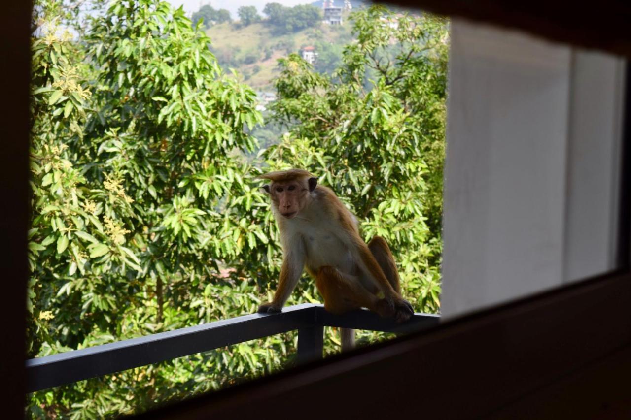 La Colina Kandy Extérieur photo